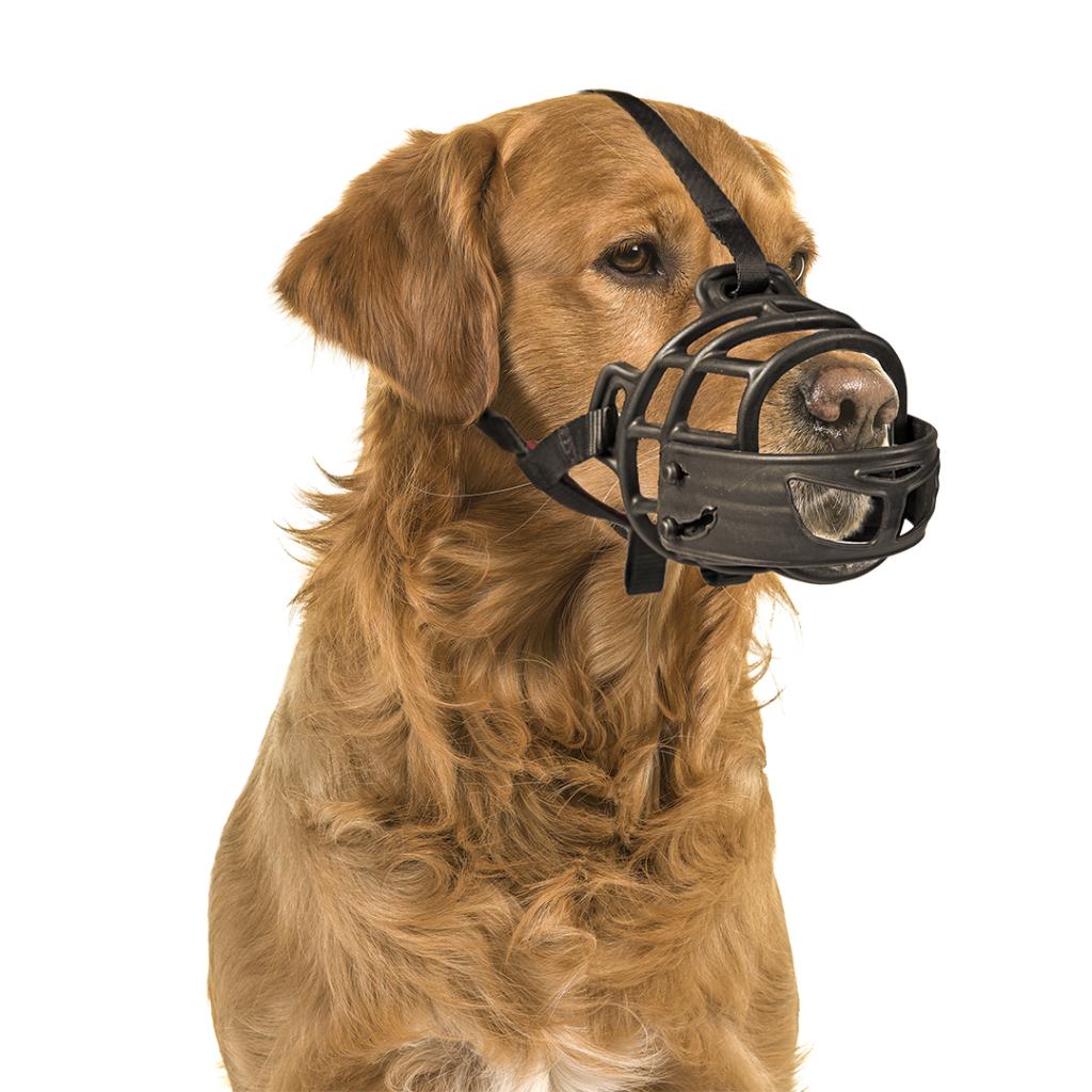 DUVO+ RUBBER DOG Muzzle