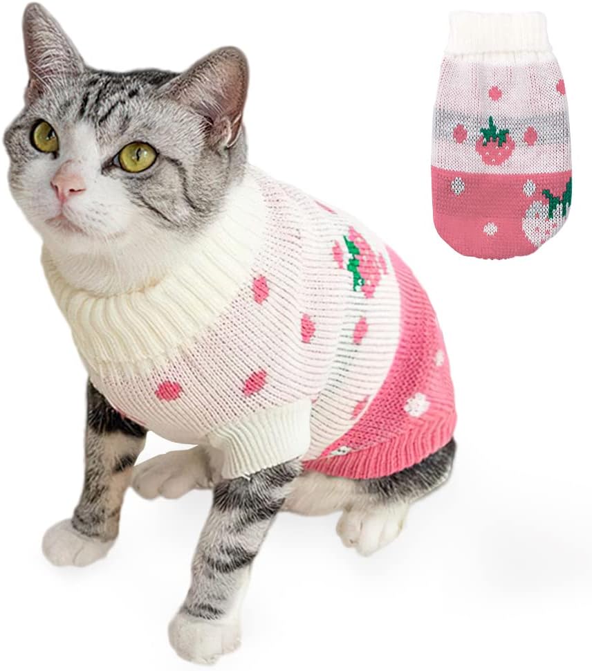 Winter Clothes Outfits for Cats and Dogs