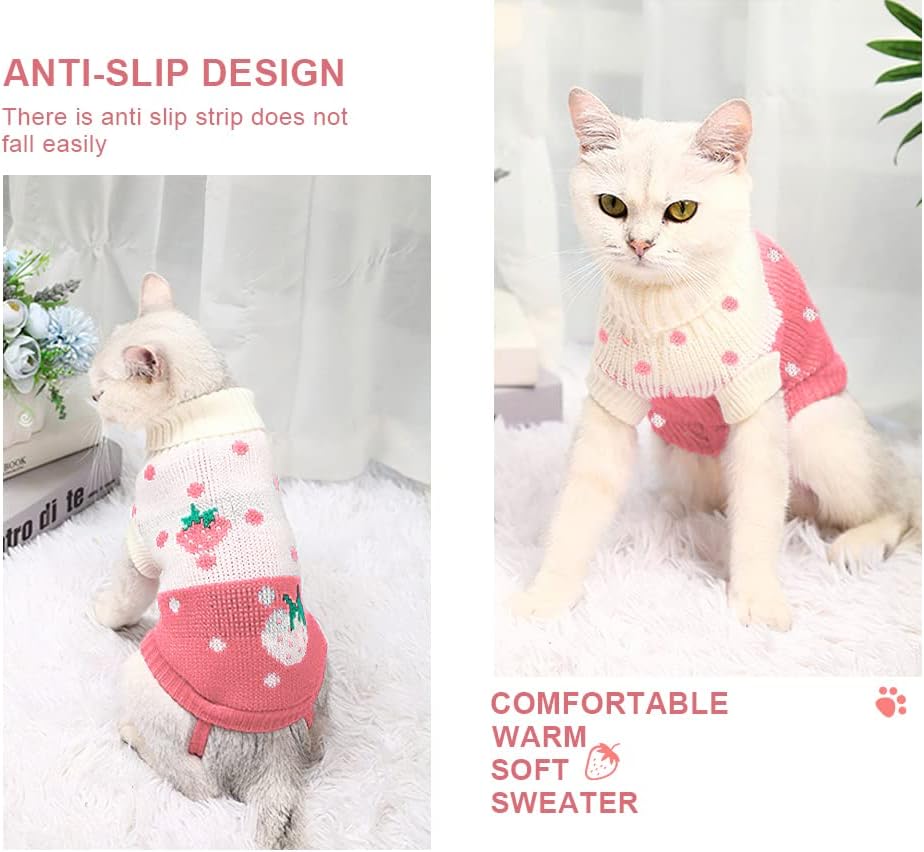 Winter Clothes Outfits for Cats and Dogs