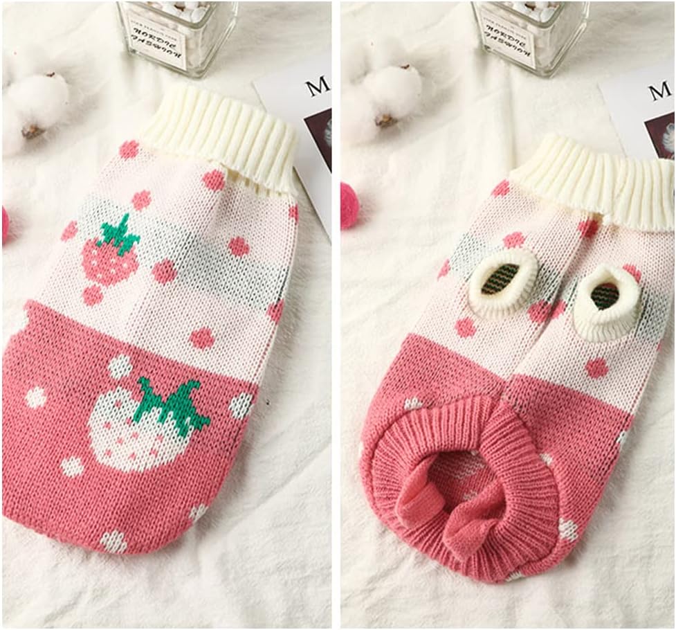 Winter Clothes Outfits for Cats and Dogs
