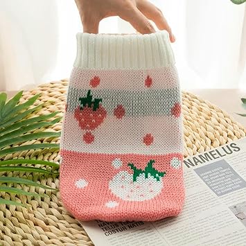 Winter Clothes Outfits for Cats and Dogs