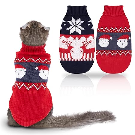 Winter Clothes Outfits for Cats and Dogs