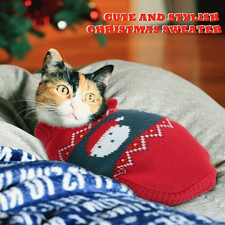 Winter Clothes Outfits for Cats and Dogs