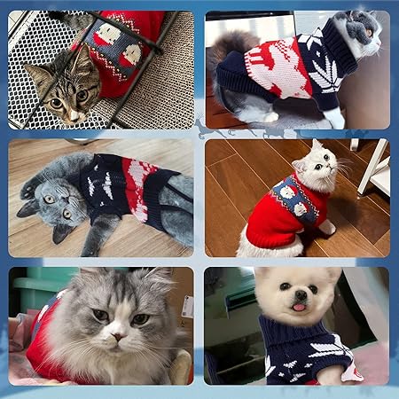 Winter Clothes Outfits for Cats and Dogs