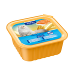 Container of Adult Cat Food with Salmon flavor 