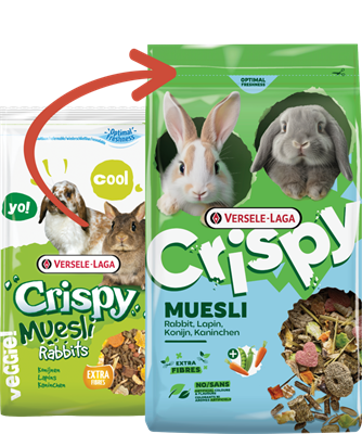 Crispy Muesli Rabbit