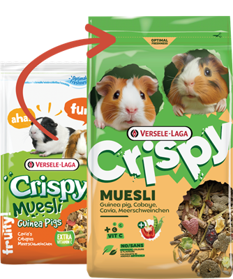 Crispy Muesli Guinea Pigs 850g