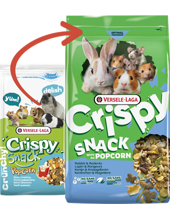 Crispy Snack with Popcorn 550g