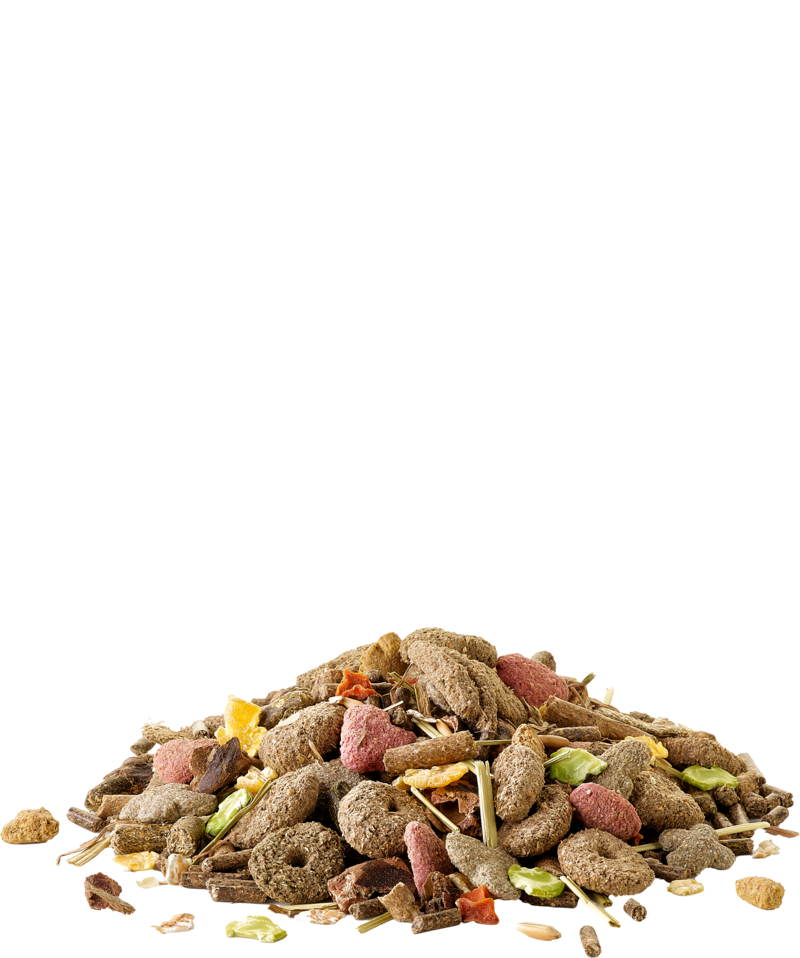 Crispy Muesli Rabbit