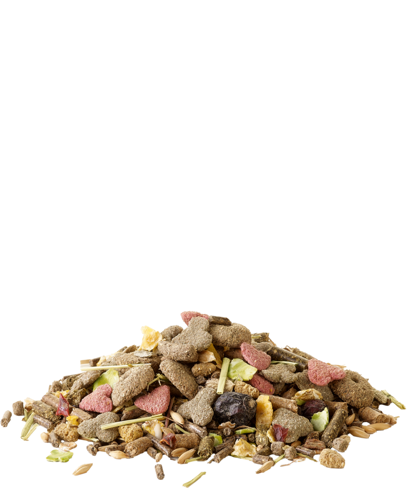 Crispy Muesli Guinea Pigs 850g
