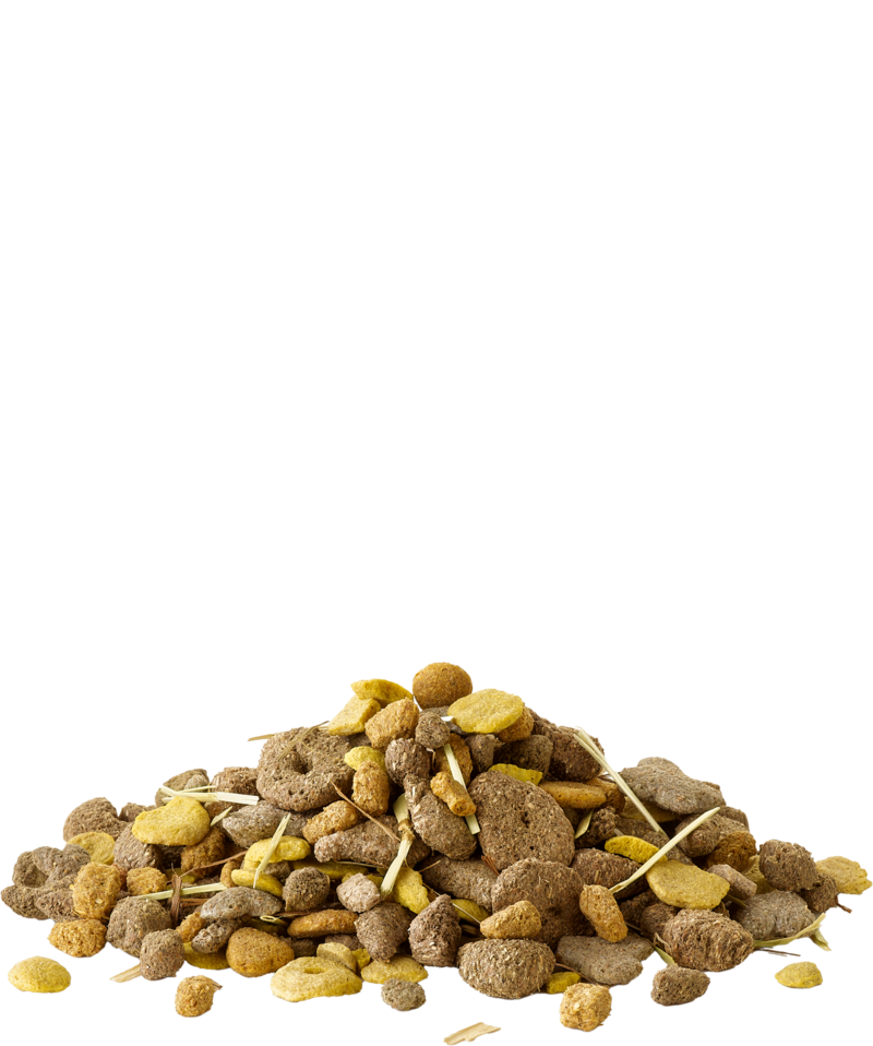 Crispy Snack with Fibres 550g