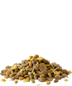 Crispy Snack with Fibres 550g