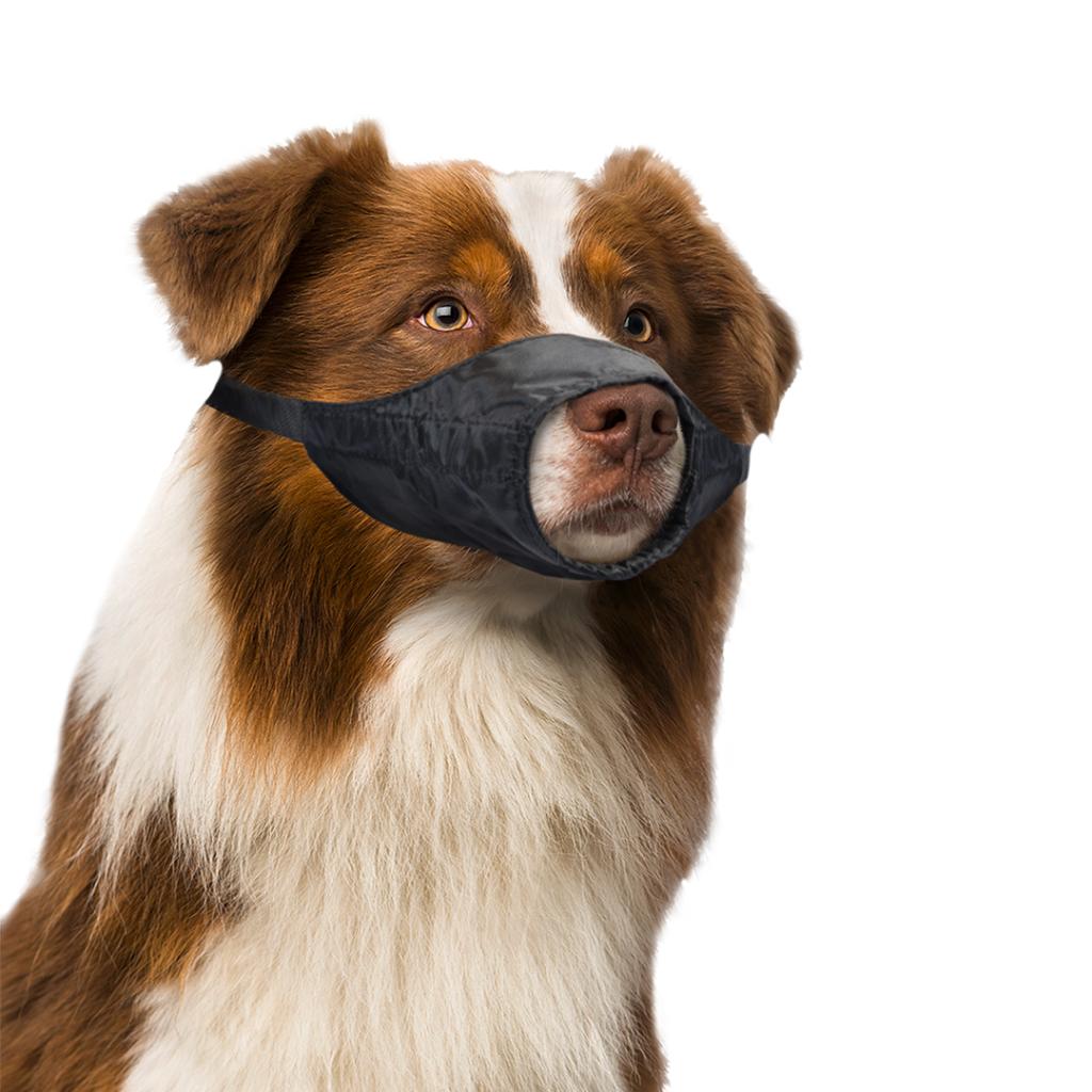 DUVO+  NYLON Dog Muzzle