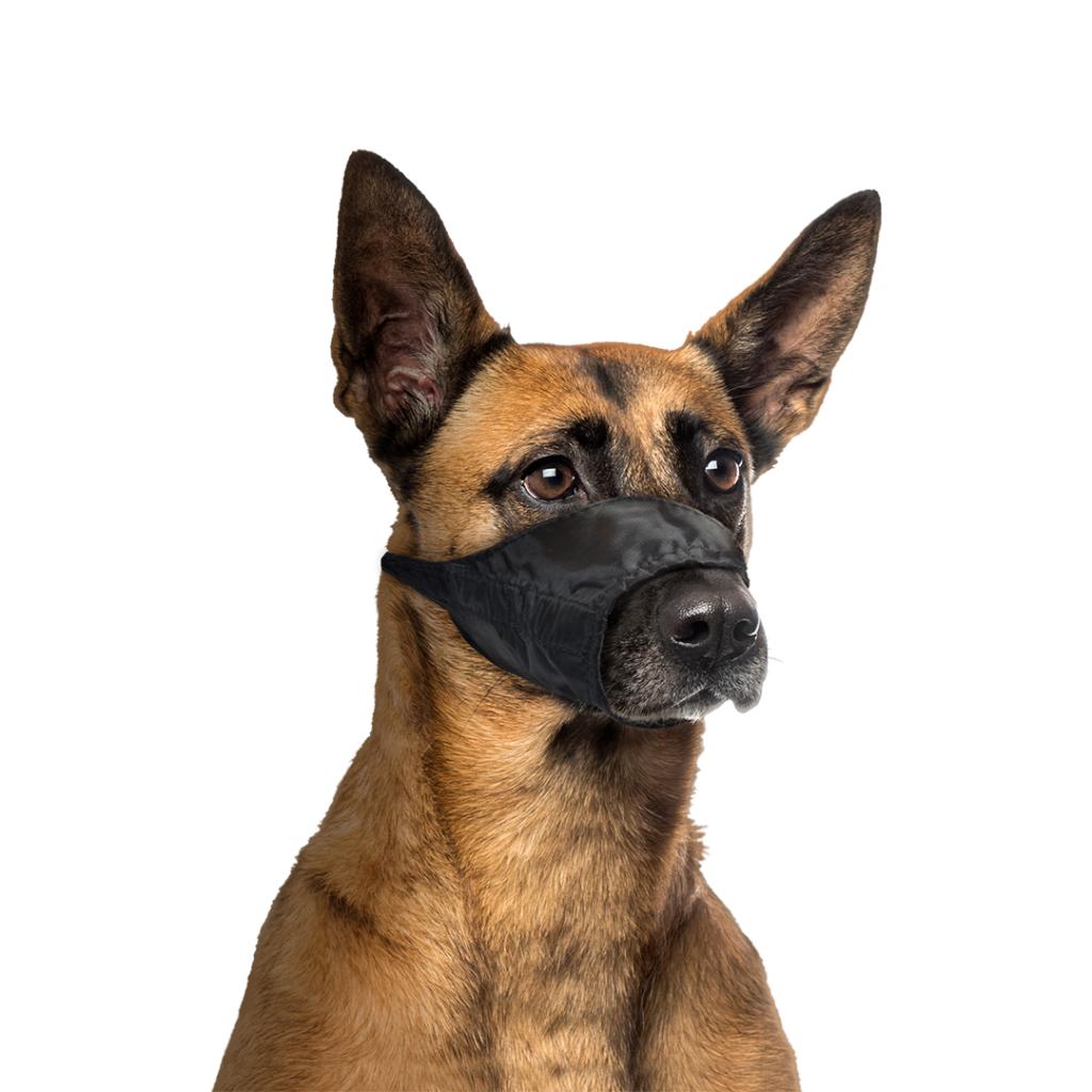 DUVO+  NYLON Dog Muzzle