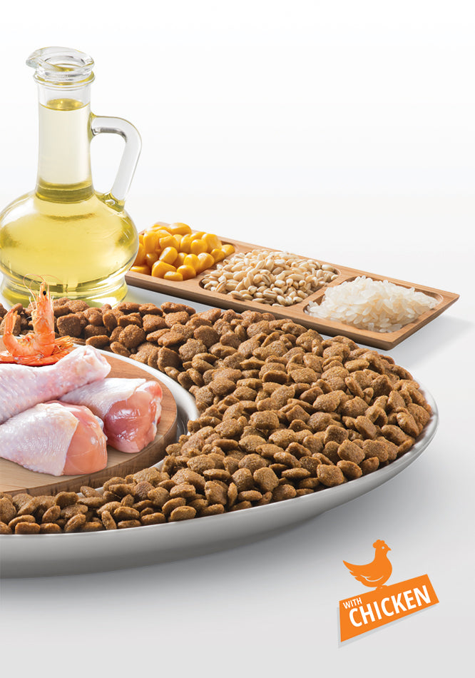 MITO Premium Cat food