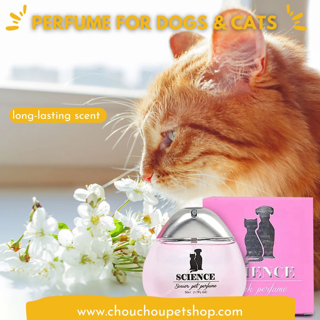 Perfume for Dogs & Cats - 50ml Fragrance Spray with Moisturizing Benefits