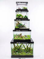 Premium Curved Glass Aquarium Tank