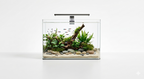 Premium Curved Glass Aquarium Tank