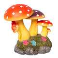 Mushrooms Rock