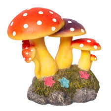 Mushrooms Rock